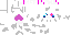 Texture for spider2