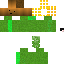 Texture for ff
