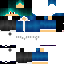 Texture for FinerSV-ERROR
