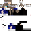 Texture for steve.12
