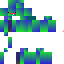 Texture for bubus x 3