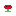 Texture for Rose