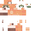 Texture for Foxxxx