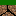 Texture for Better grass