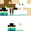Texture for Kitty
