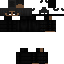 Texture for Pinto