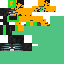 Texture for wither seton