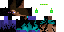Texture for endersteve
