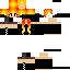 Texture for Phoenix 4
