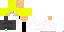 Texture for Paemer