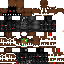 Texture for ds