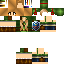 Texture for FemLink
