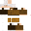 Texture for Steve