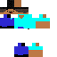 Texture for STEVEC3L0