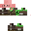 Texture for Pig force