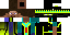 Texture for Custom Skin
