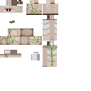 Texture for iron golem