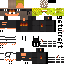 Texture for STEVE