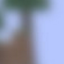 Texture for SS