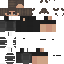 Texture for The last survivol