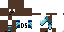 Texture for ds