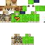 Texture for ds