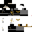 Texture for leon