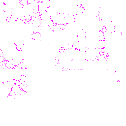 Texture for dragon_exploding