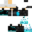 Texture for Frost329BR
