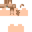 Texture for steve