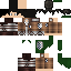 Texture for snk