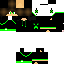 Texture for Creepermannlphd