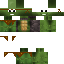 Texture for tiny turtle