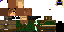 Texture for sg
