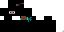 Texture for ninja