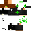 Texture for BaguinaPlays