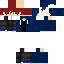 Texture for Rtut231