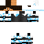 Texture for Peter