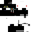 Texture for Bassebams