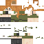 Texture for ALEX