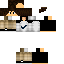 Texture for Wizicks 