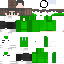 Texture for かめ