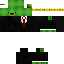 Texture for turtle