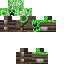 Texture for ddddddddddddd
