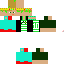 Texture for DB710