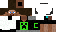 Texture for Creeper