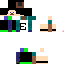 Texture for Steve