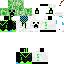 Texture for steve