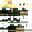 Texture for Zaiko SSJ1