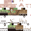 Texture for diego